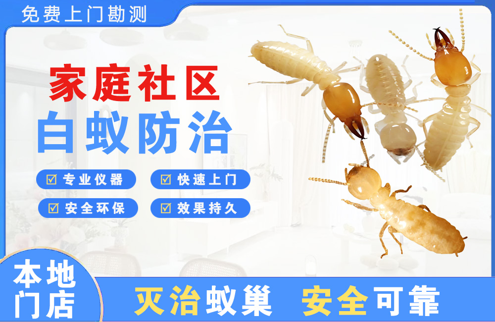 遂宁家庭社区白蚁防治