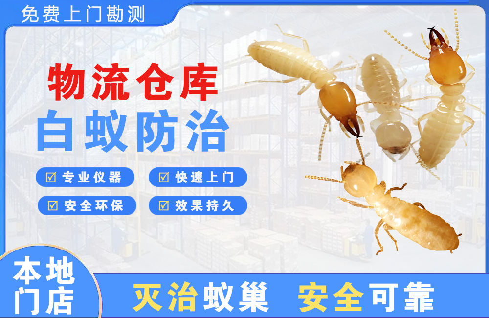 遂宁物流仓库白蚁防治