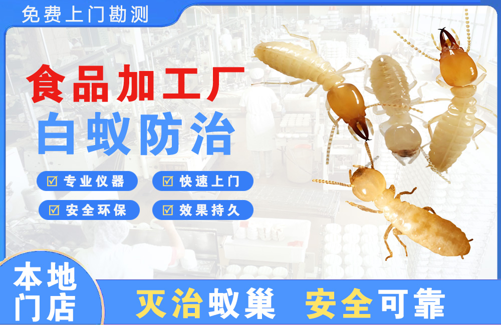 遂宁食品加工厂白蚁防治