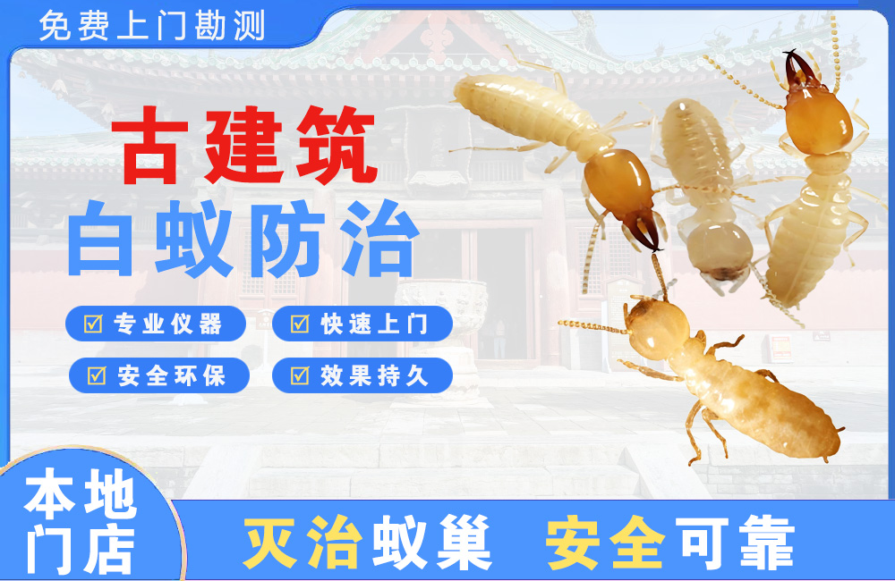 遂宁古建筑白蚁防治