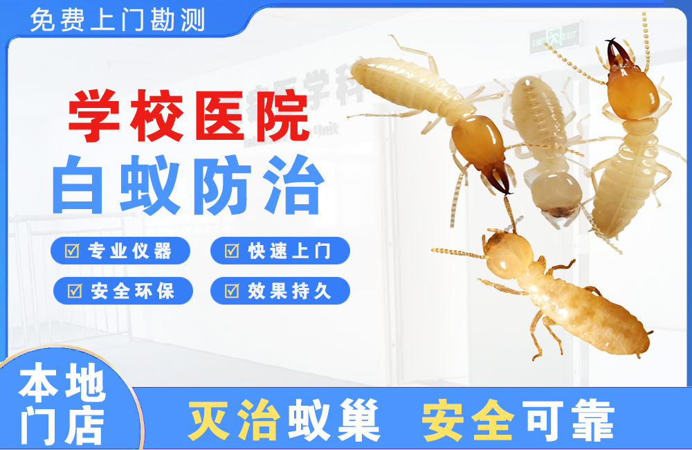 遂宁学校医院白蚁防治