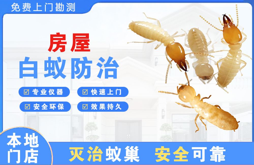 遂宁房屋白蚁防治
