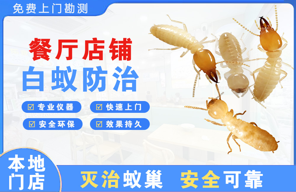 遂宁餐厅店铺白蚁防治